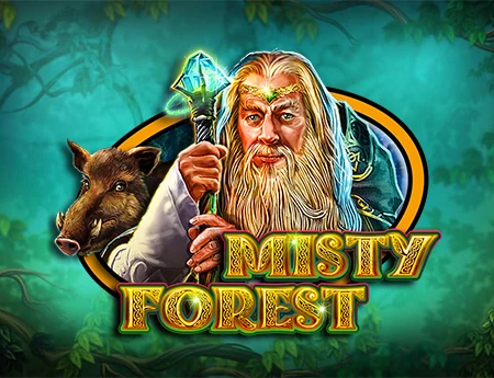 Misty Forest