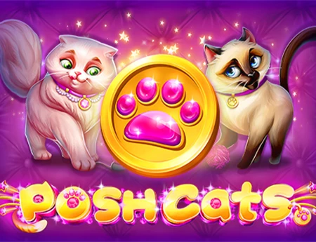 Posh Cats