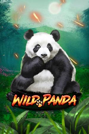 Wild Panda